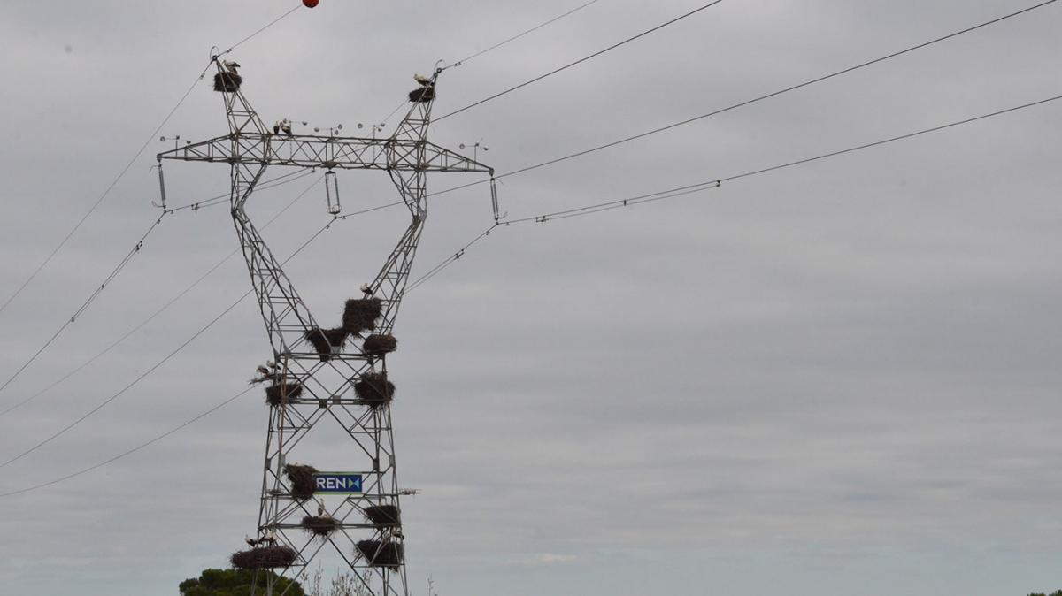 8_südlich von Lissabon